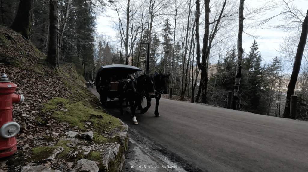 ノイシュバンシュタイン城までの馬車