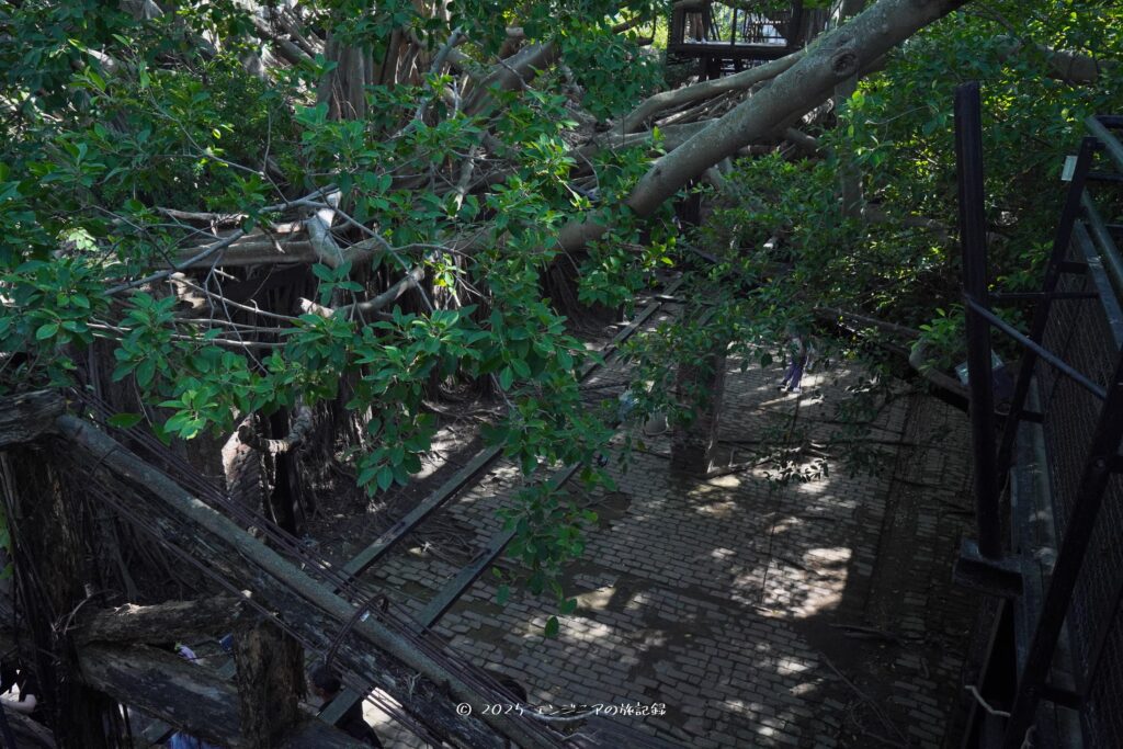 台南の安平樹屋の回廊デッキからの景色