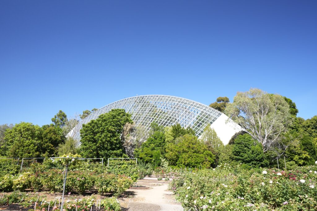 アデレードのアデレード植物園のバイセンテニアル温室の外観