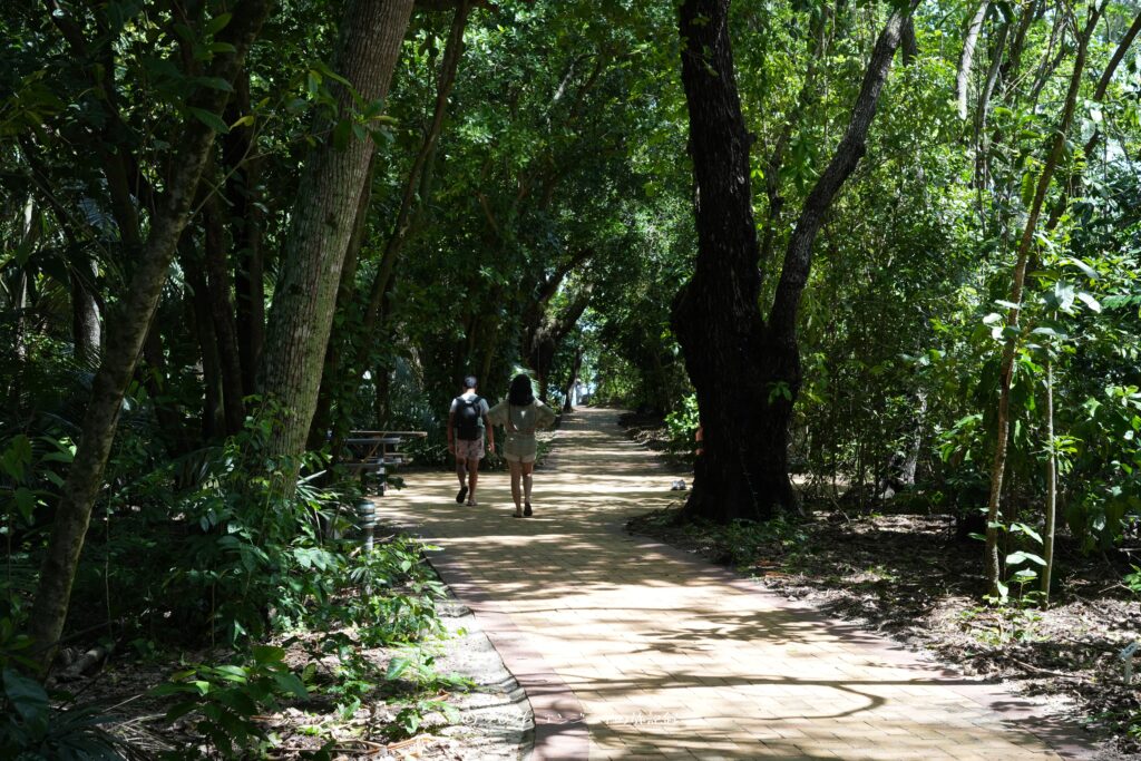 ケアンズのグレートバリアリーフにあるグリーン島の遊歩道の様子