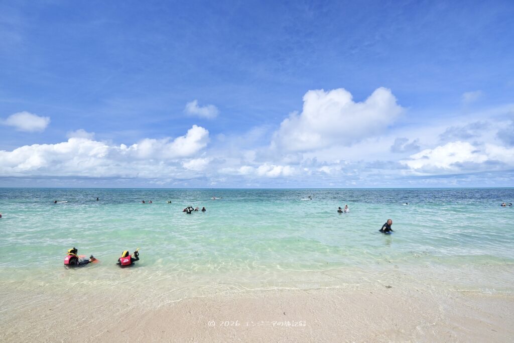ケアンズのグレートバリアリーフにあるグリーン島のビーチ