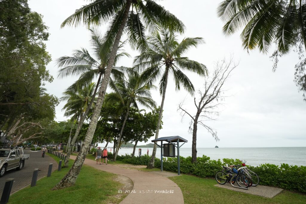 ケアンズのパームコーブビーチにはヤシの木がたくさん生えていて南国の雰囲気がある