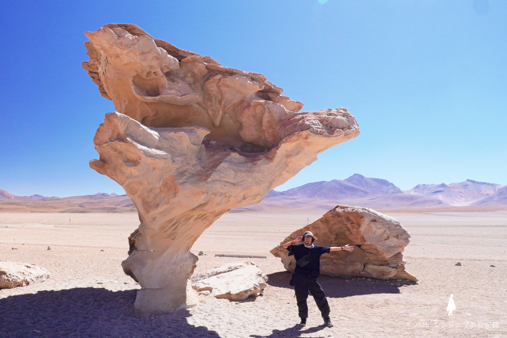 ボリビアの荒野に立つ木の形に風化した奇岩アルボル・デ・ピエドラ