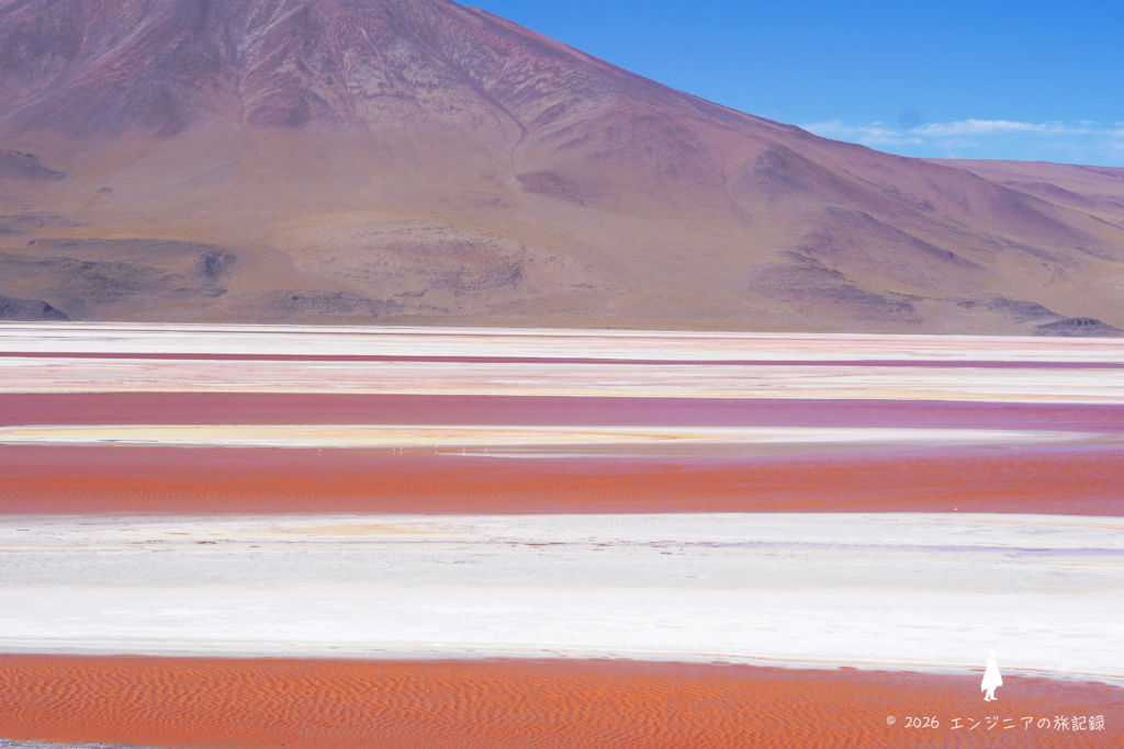 ウユニにある赤くてフラミンゴが見られるLaguna Colorada