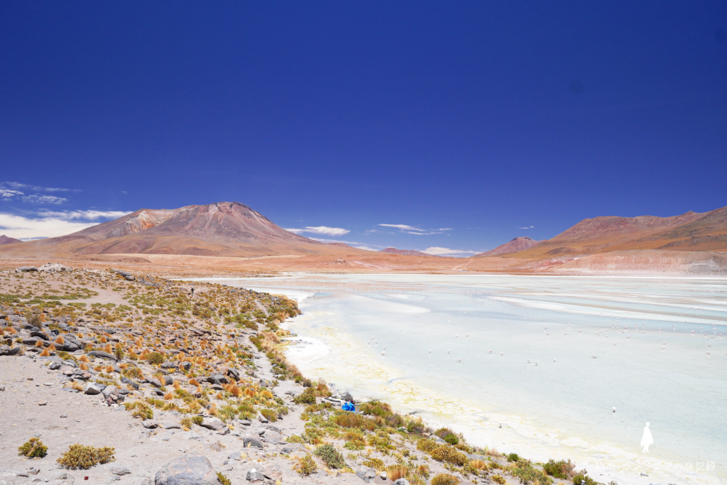 Laguna Hedionda（エディオンダ湖）での景色