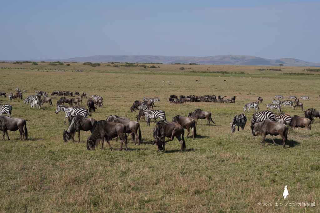 ケニア マサイマラ国立保護区 広がるサバンナの絶景