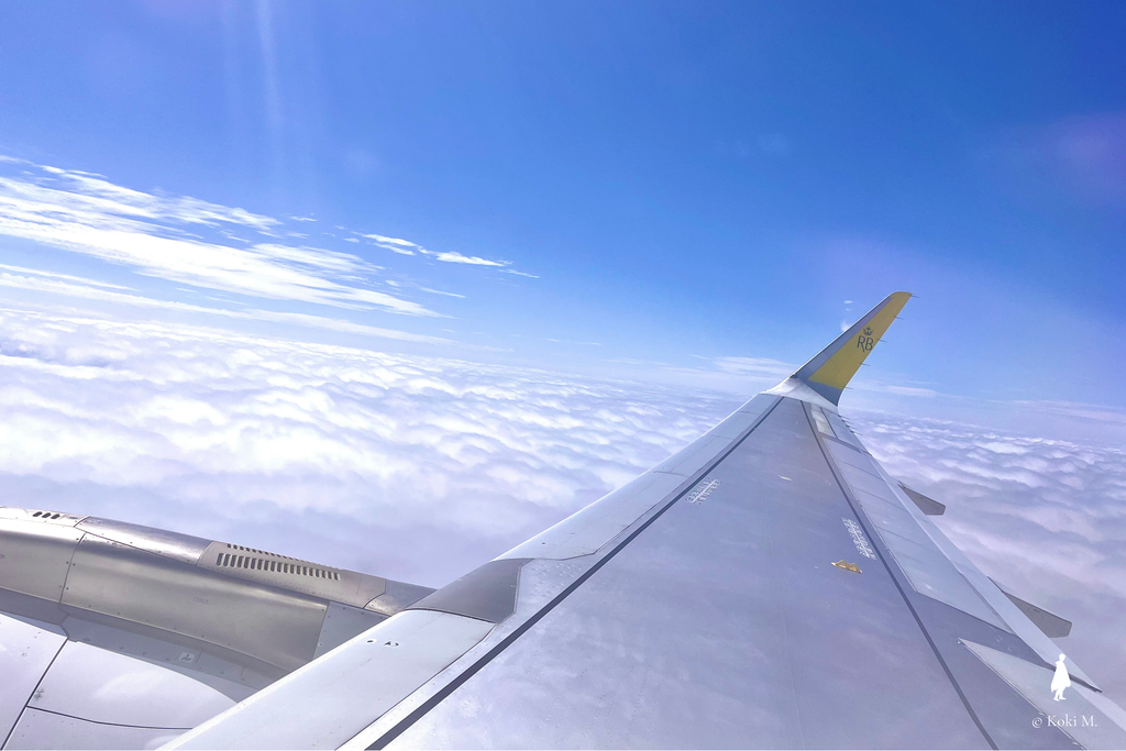 Trip.comで予約したロイヤルブルネイ航空の搭乗時に撮影した飛行機