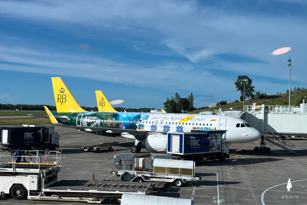 ブルネイ旅行で利用したロイヤルブルネイ航空の機体